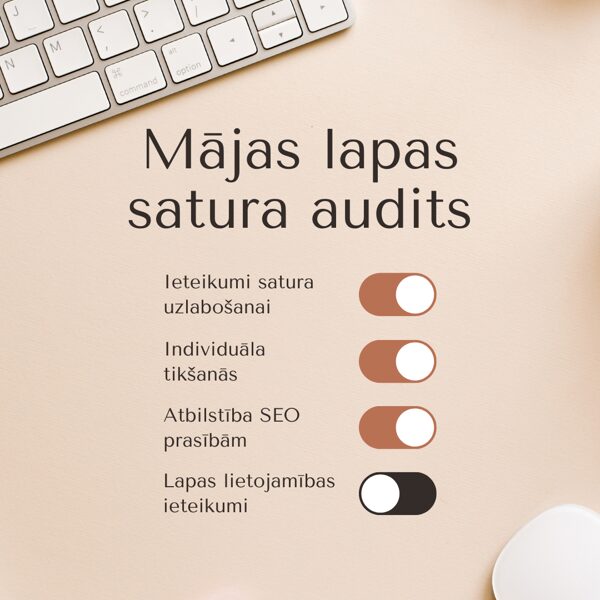 Mājas lapas audits